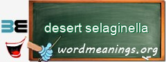WordMeaning blackboard for desert selaginella